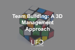 Team Building: A 3D Management Approach