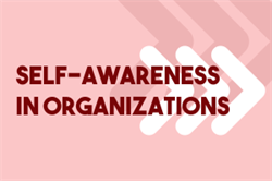 Self-Awareness in Organizations