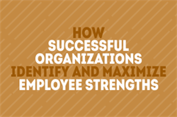 How Successful Organizations Identify and Maximize Employee Strengths