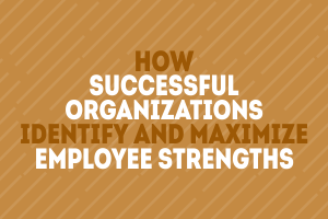 How Successful Organizations Identify and Maximize Employee Strengths