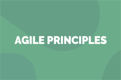 Agile Principles