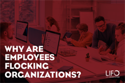 Why are Employees Flocking Organizations?
