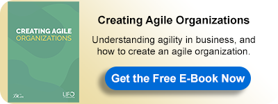 E-Book: Creating Agile Organizations