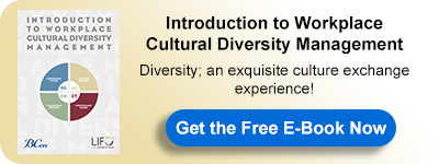 E-Book: Introduction to Workplace Cultural Diversity Management
